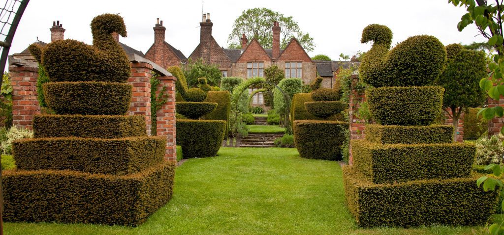 Old style topiary