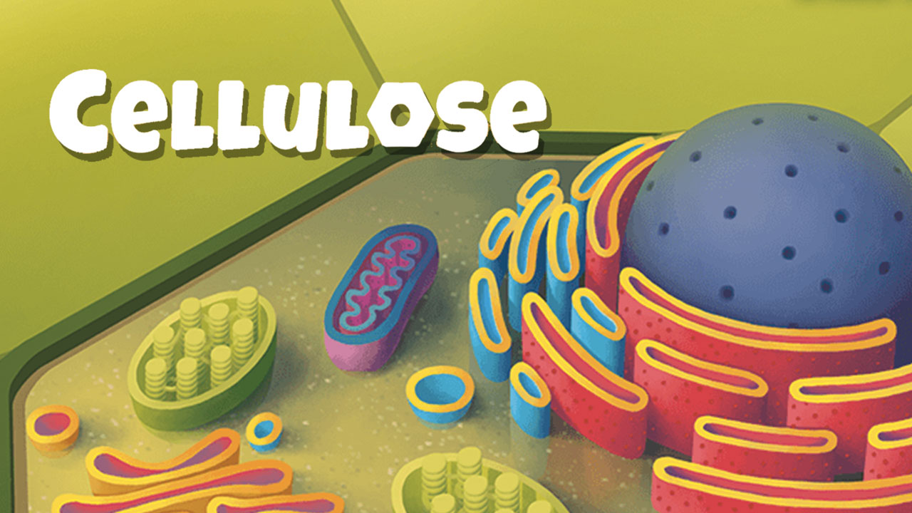 Cellulose: A Plant Cell Biology Game Review thumbnail