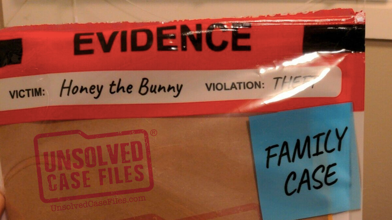 Unsolved Case Files Honey the Bunny Game Review — Meeple Mountain