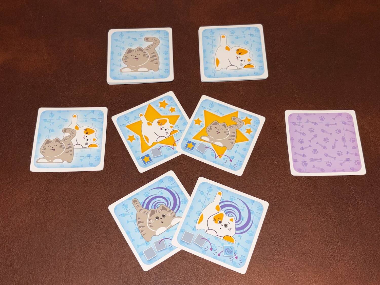 Kitten cards